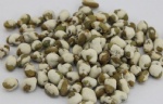 Wasabi Coated Edamame